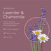 Naturals Calm Lavender & Chamomile Body Wash (250ml) - ARRAN Sense of Scotland - Face & Co
